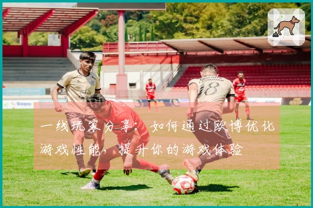 一线玩家分享：如何通过欧博优化游戏性能，提升你的游戏体验