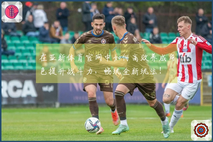 在亚新体育官网中如何高效养成角色提升战斗力，畅玩全新玩法！