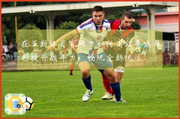 在亚新体育官网中如何高效养成角色提升战斗力，畅玩全新玩法！